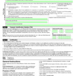 Filling IRS Form W 9 Editable Printable Blank Fill