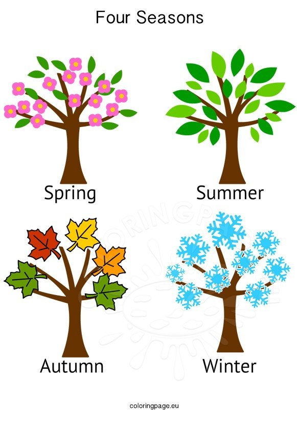 Four Seasons Tree Images Coloring Page