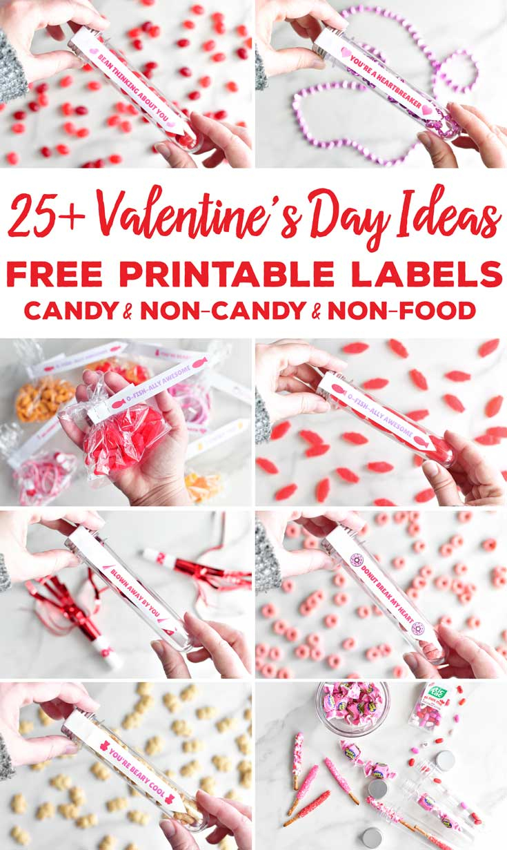 Valentine s Day Ideas With Free Printable Labels For Test 