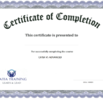 13 Certificate Of Completion Templates Excel PDF Formats