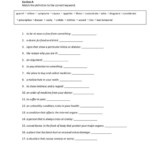 16 Best Images Of Mental Health Therapy Worksheets DBT