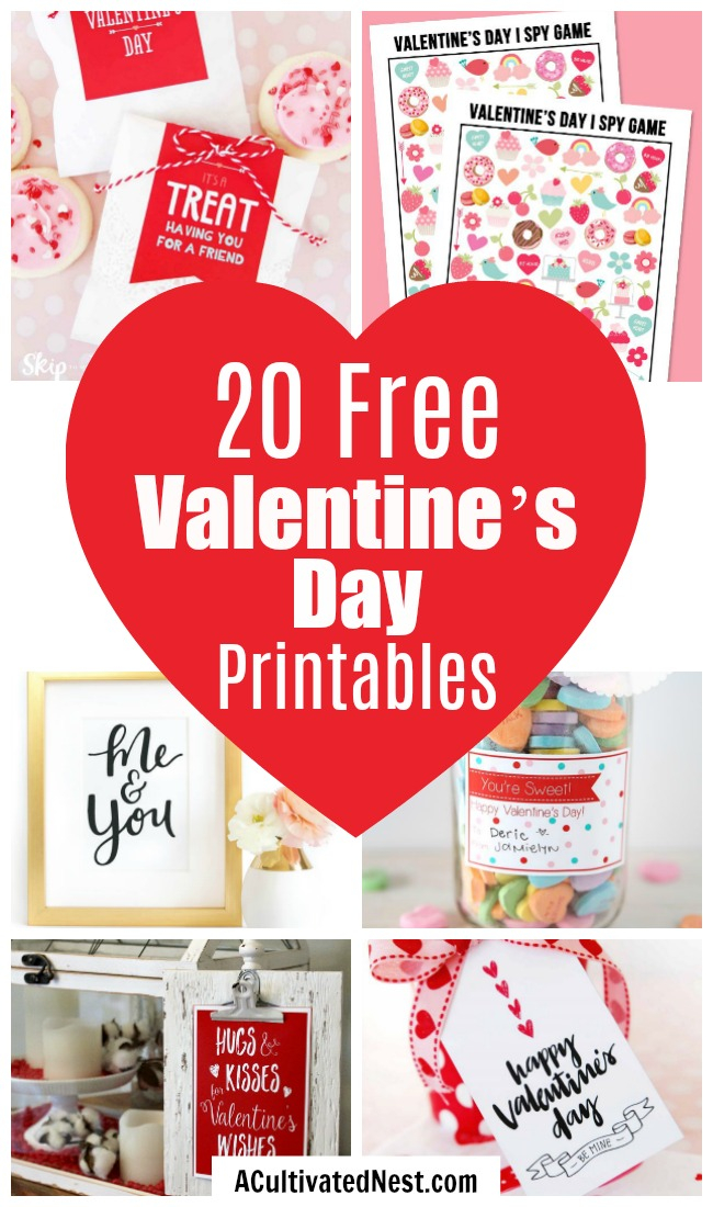 20 Adorable Free Valentine s Day Printables A Cultivated Nest