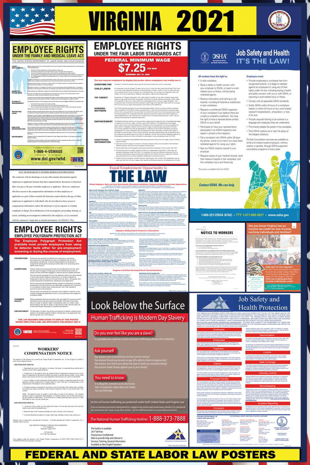 2021 Virginia State And Federal Labor Law Poster VA 