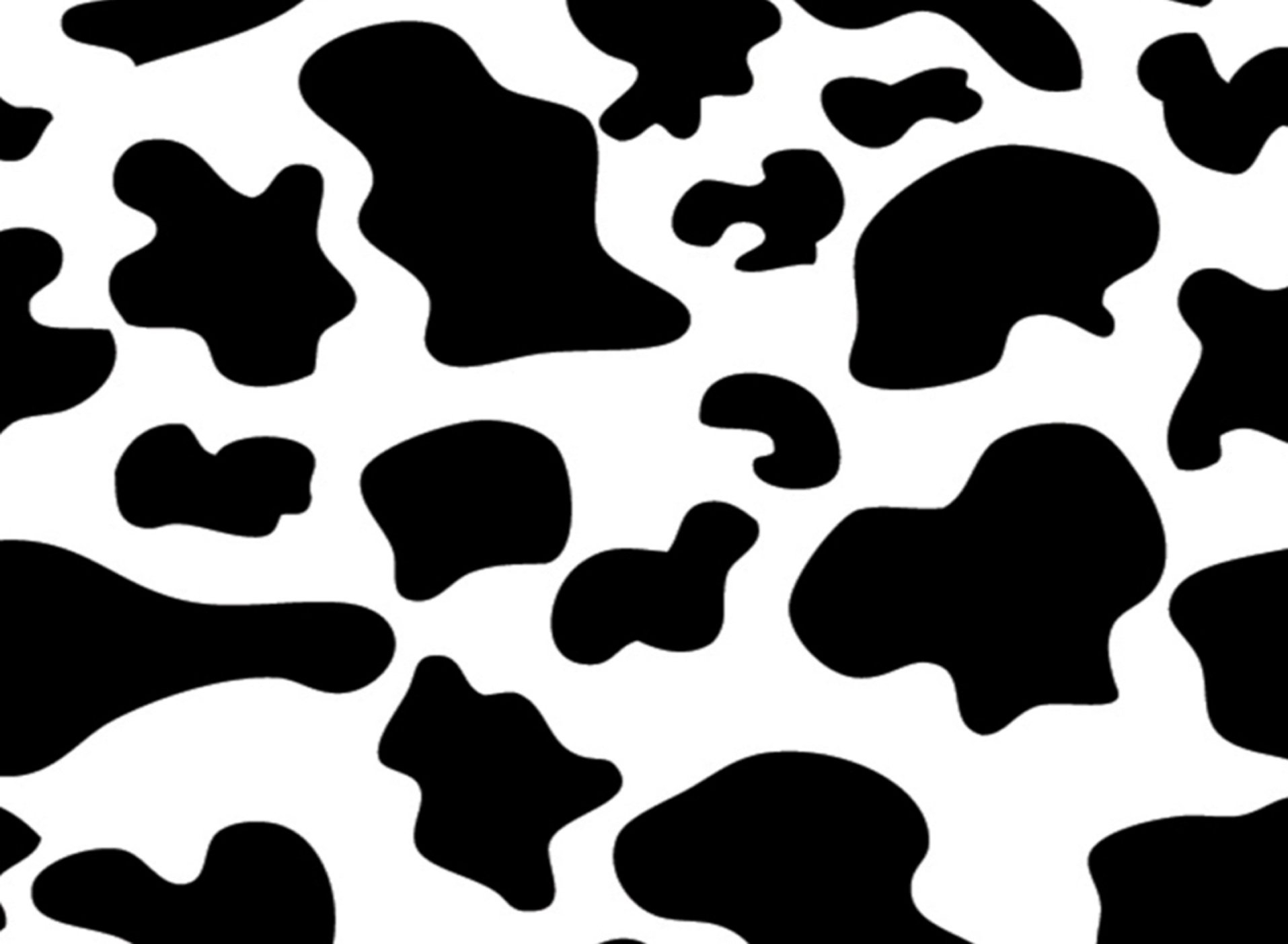  48 Brown Cow Print Wallpaper On WallpaperSafari