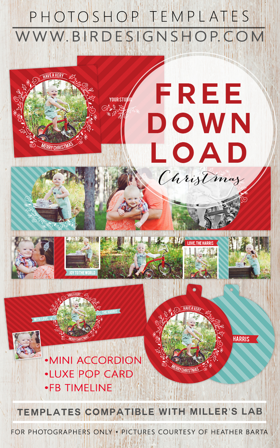 50 Free Holiday Photo Card Templates Moritz Fine Designs