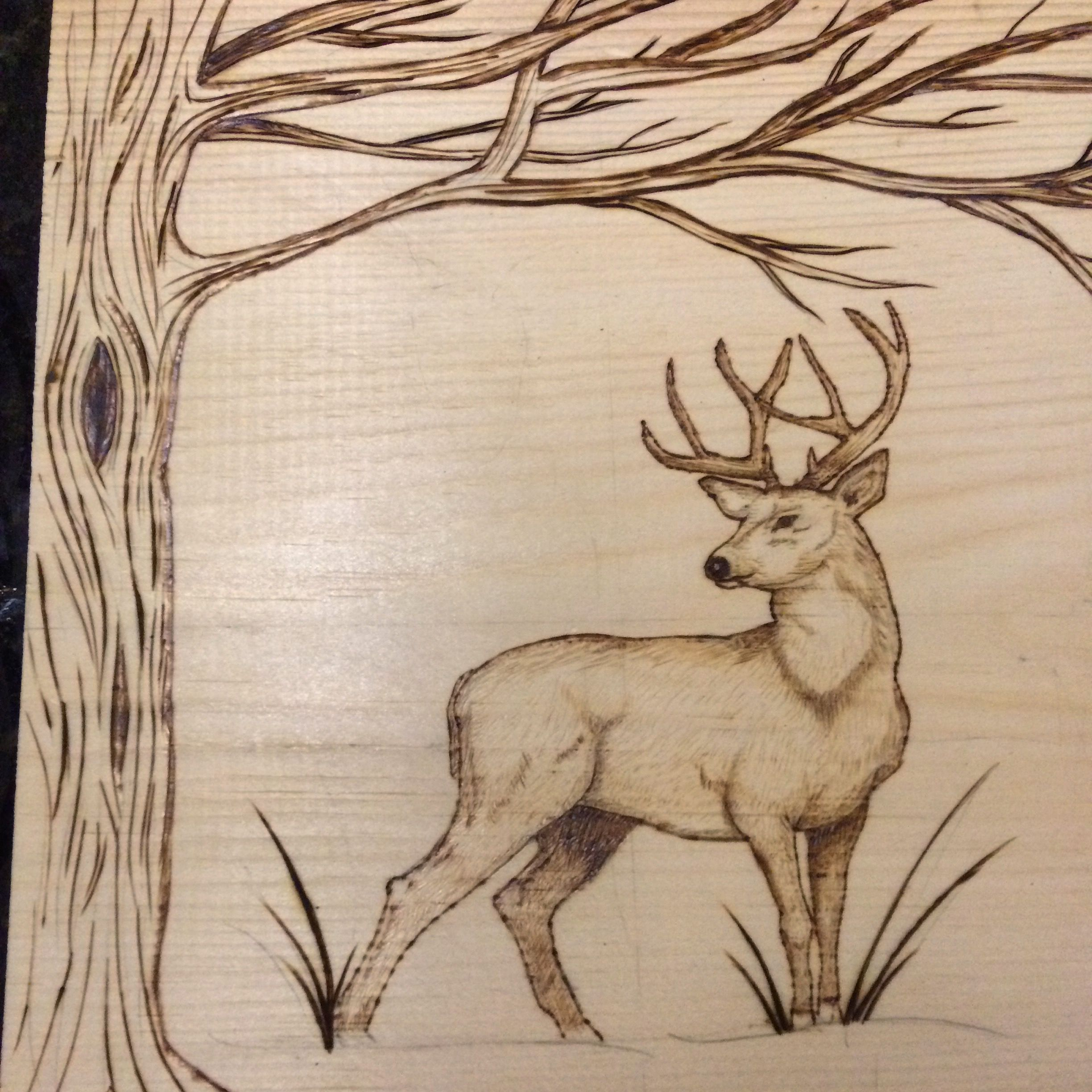 Almost Done Pyrography deer Tree buck woodburning 