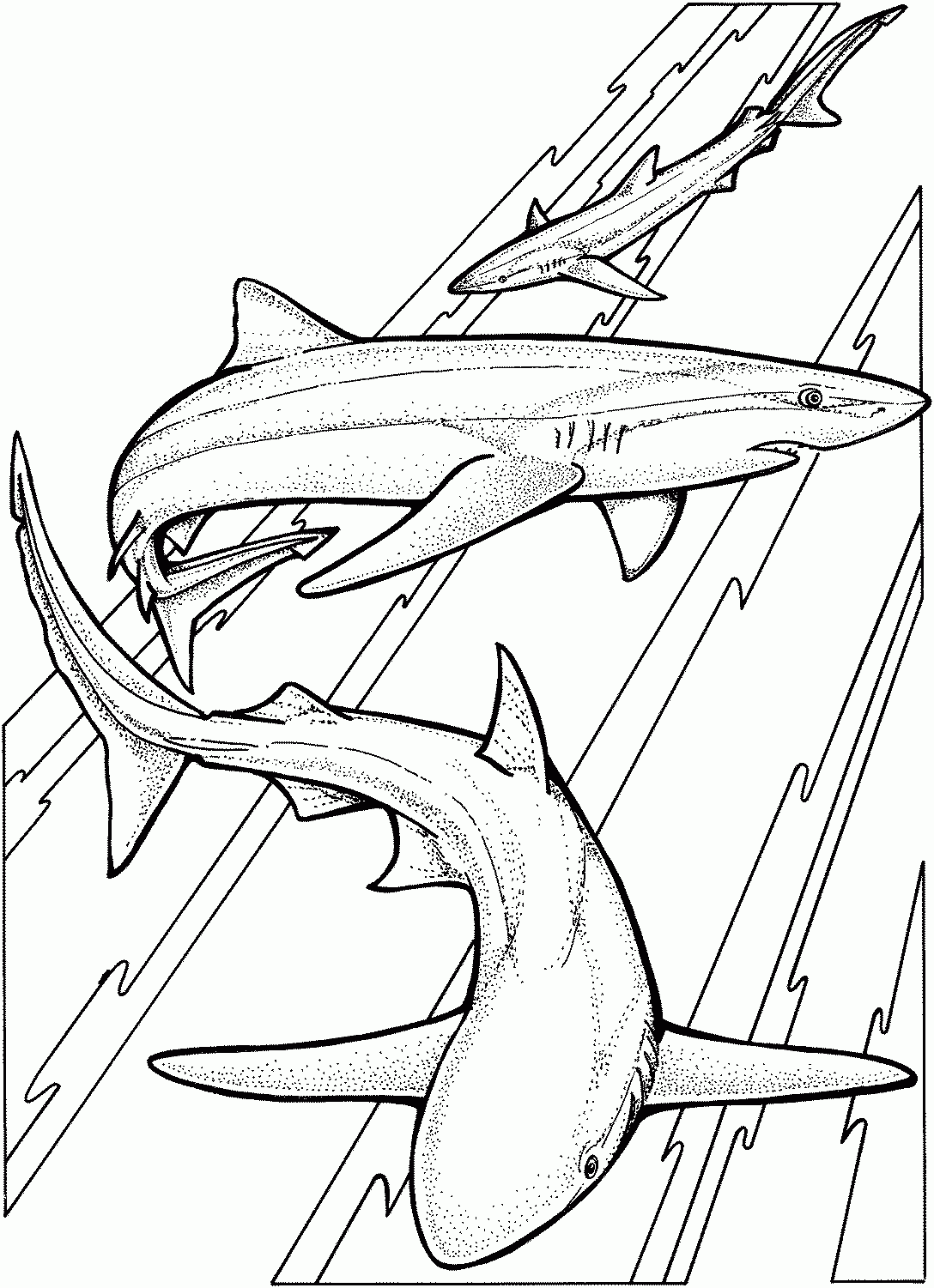 Coloring Pages Shark Coloring Pages Free And Printable