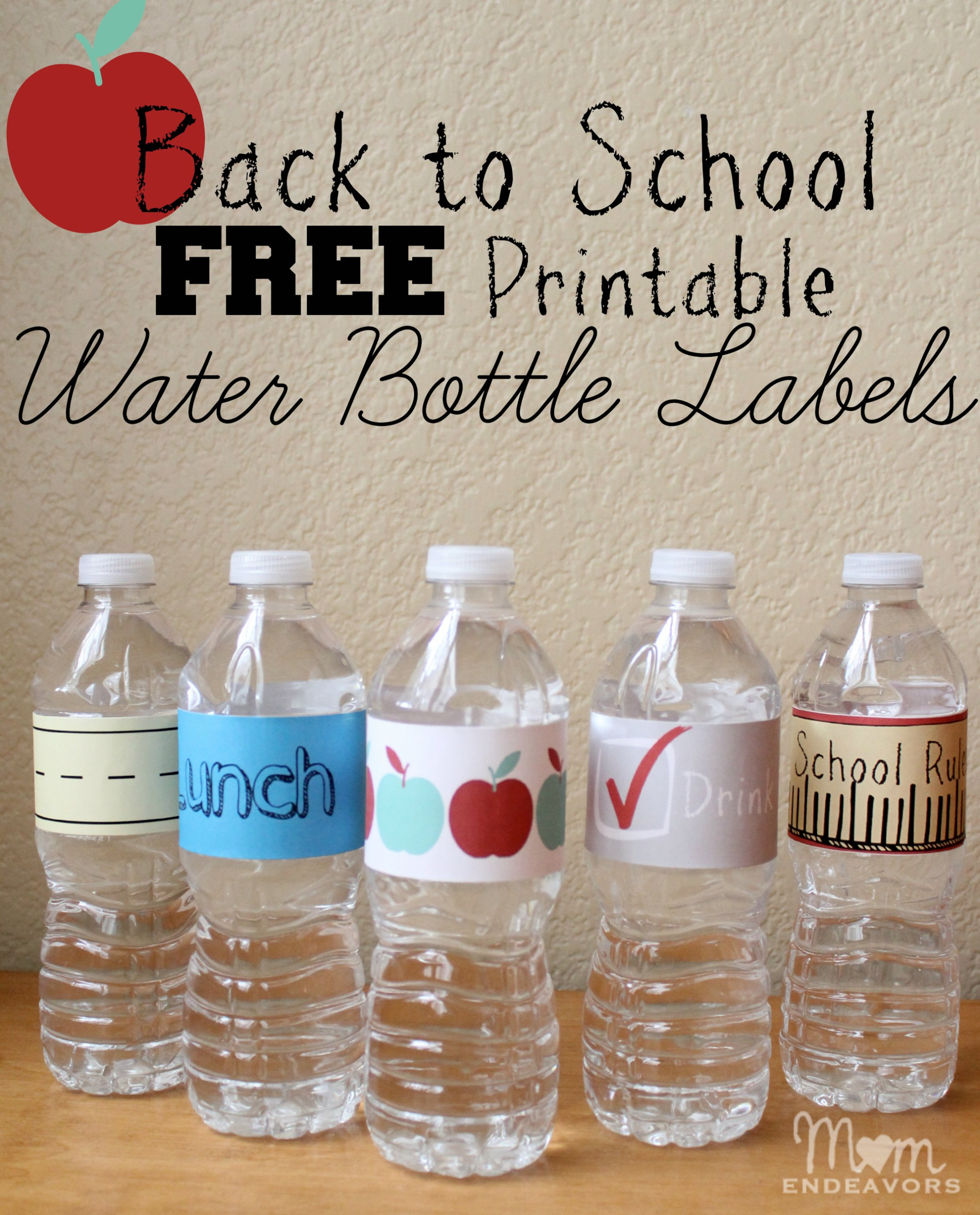 Convenient Fun Drinks For Back To School Lunches with