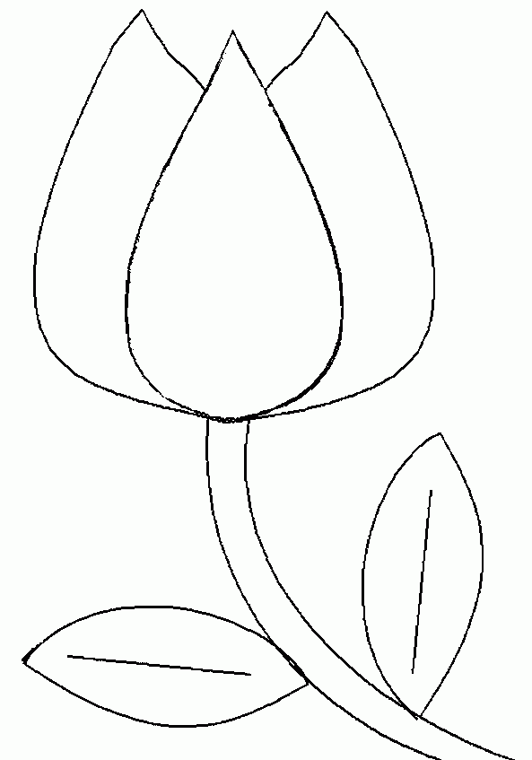 Free Flower Template Printable Download Free Clip Art 