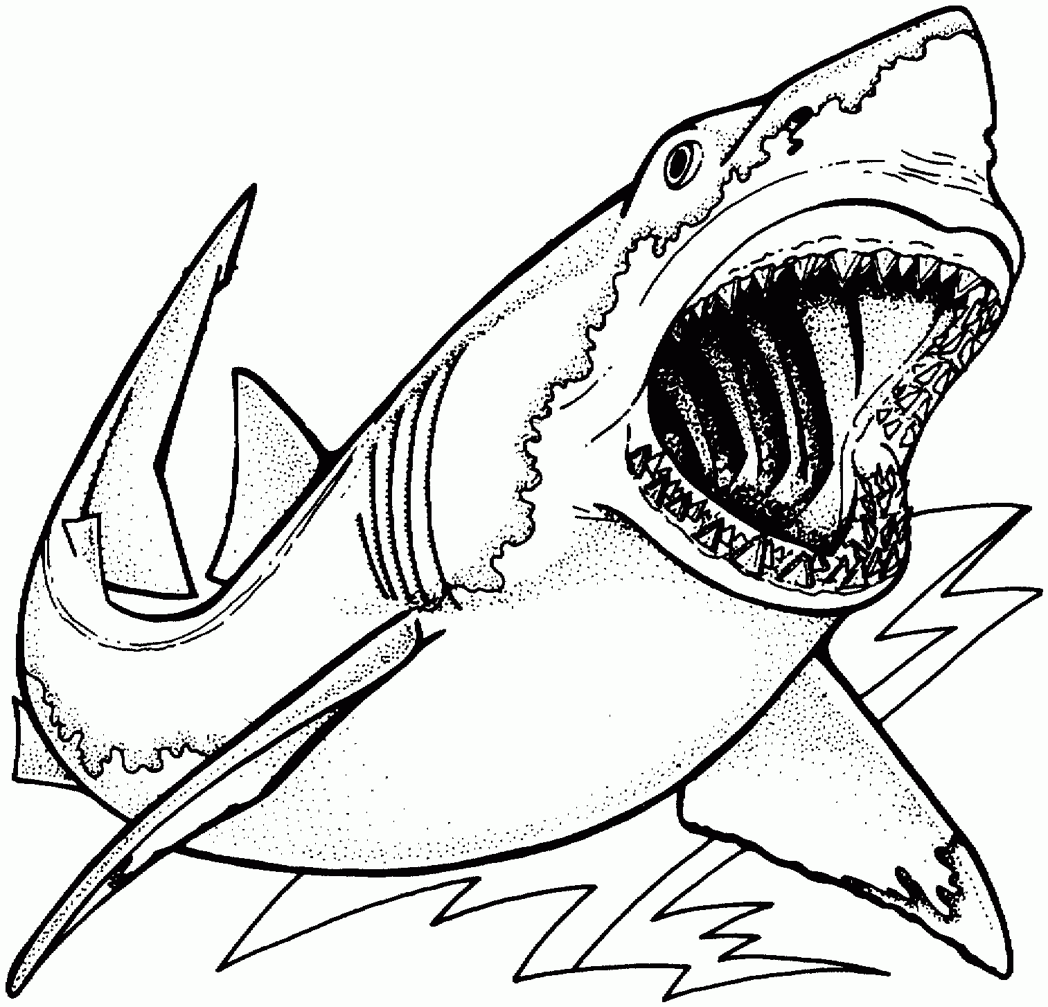 Free Shark Coloring Pages