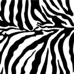 Free Zebra Print Background Vector Download Free Vectors