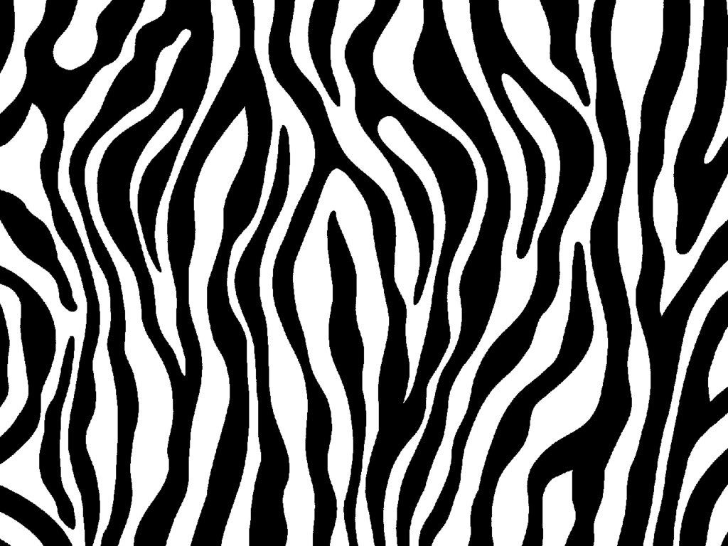 Free Zebra Print Download Free Clip Art Free Clip Art On 