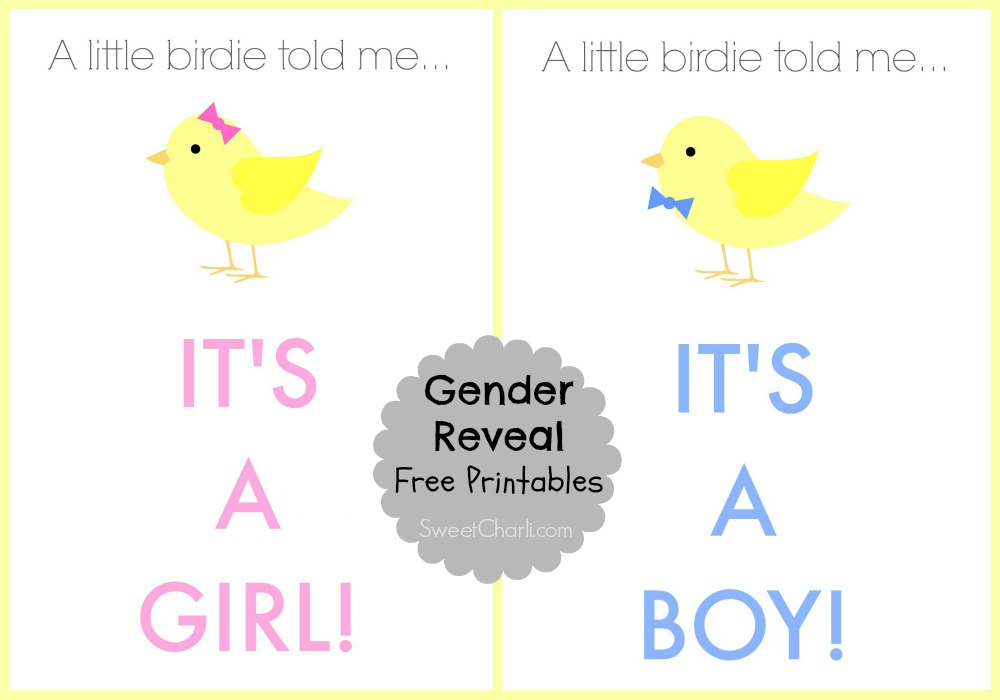 Gender Reveal Plus Free Printables