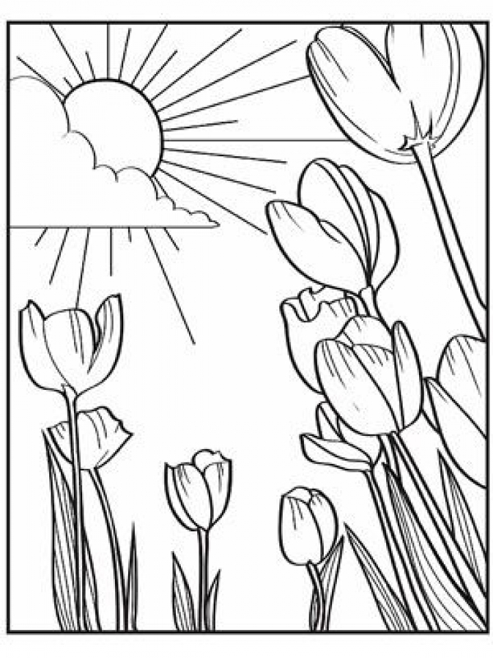 Get This Spring Coloring Pages Free To Print J6hdb