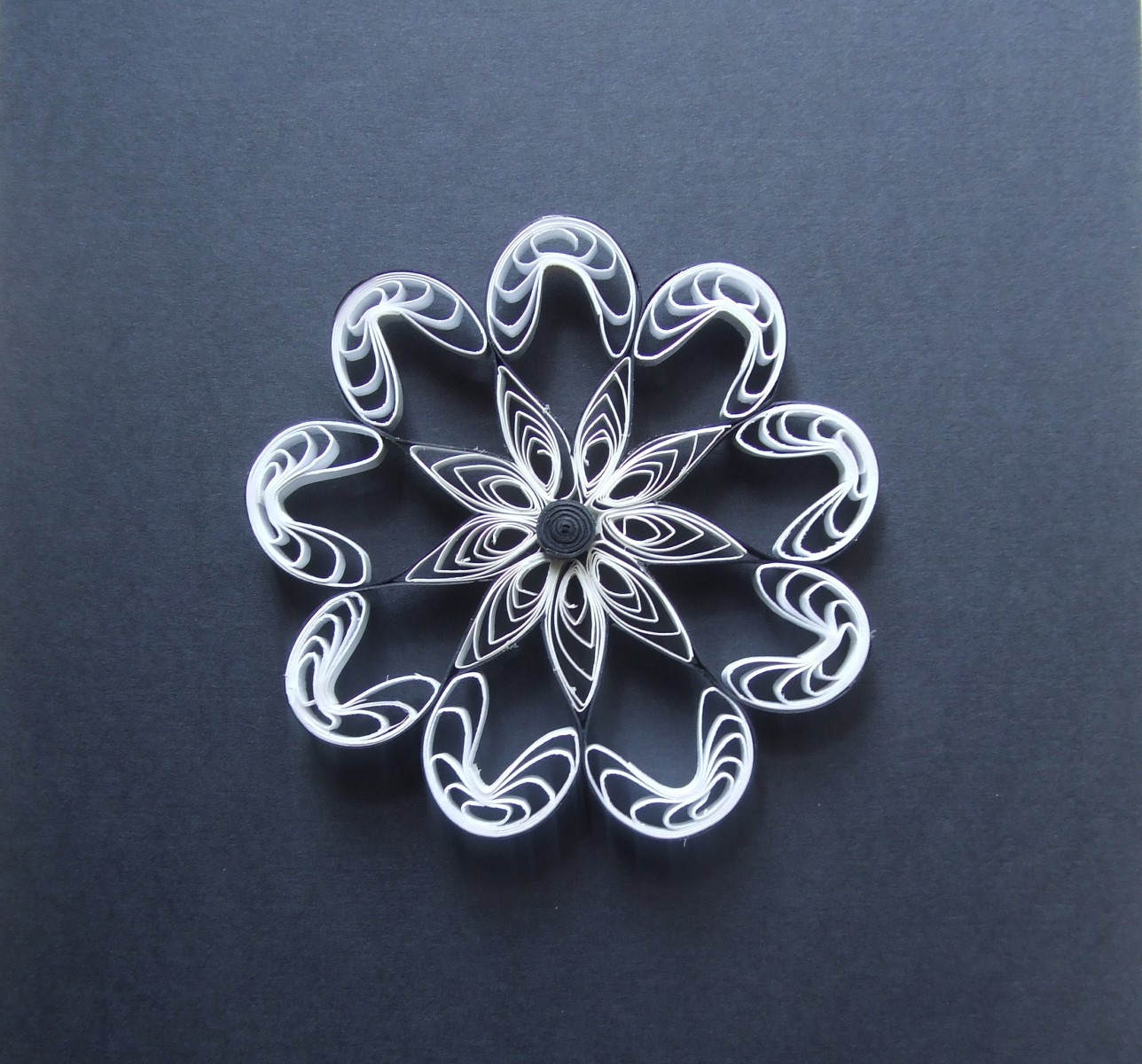 Paper Quilling Floral Pattern Collection