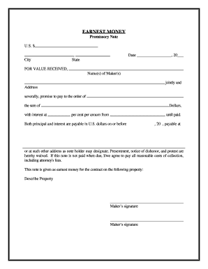 Promissory Note Format Pdf Fill Out And Sign Printable 