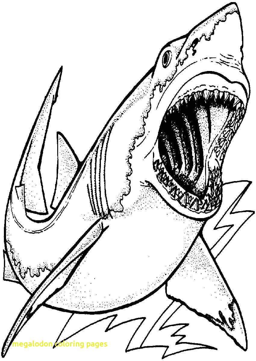 Sharknado Coloring Pages At GetColorings Free 