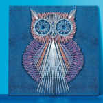 String Art Owl Extract From String Craft By Lucy Hopping