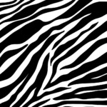 Zebra Print Background Vector Download Free Vector Art
