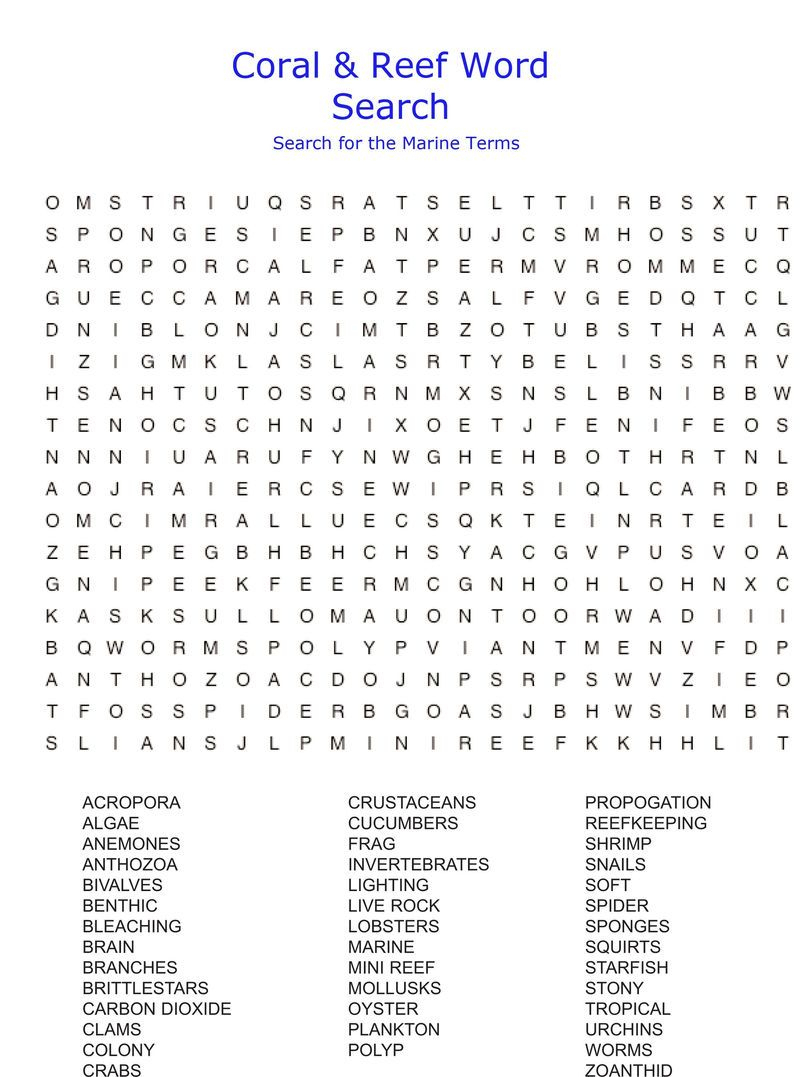 6th Grade Word Search Puzzles Printable Word Search 