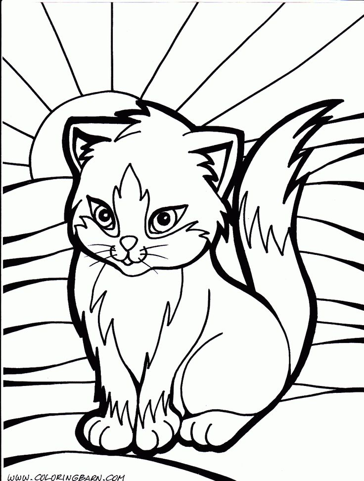 Cat Color Pages Printable Cat Kitten Printable Coloring 