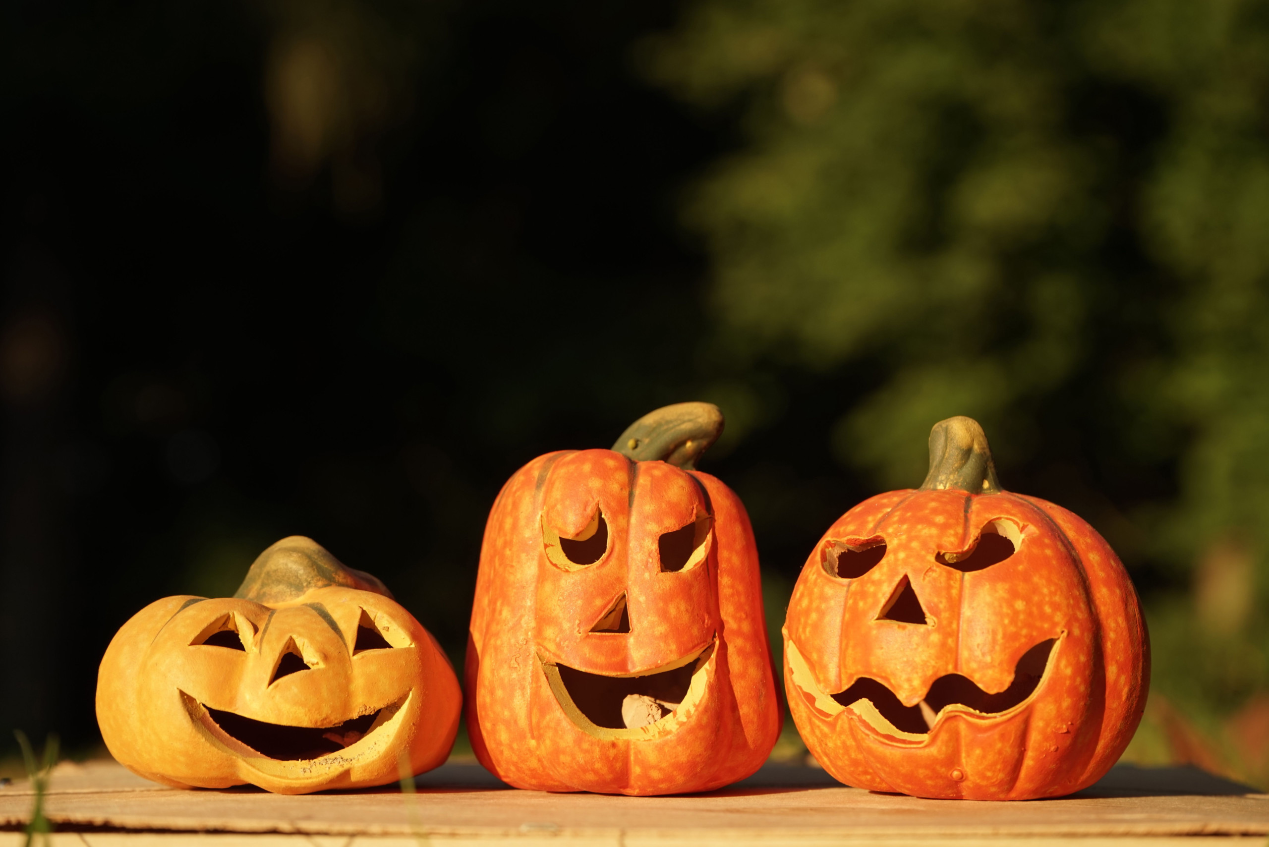 Free Jack o Lantern Patterns Printable Templates