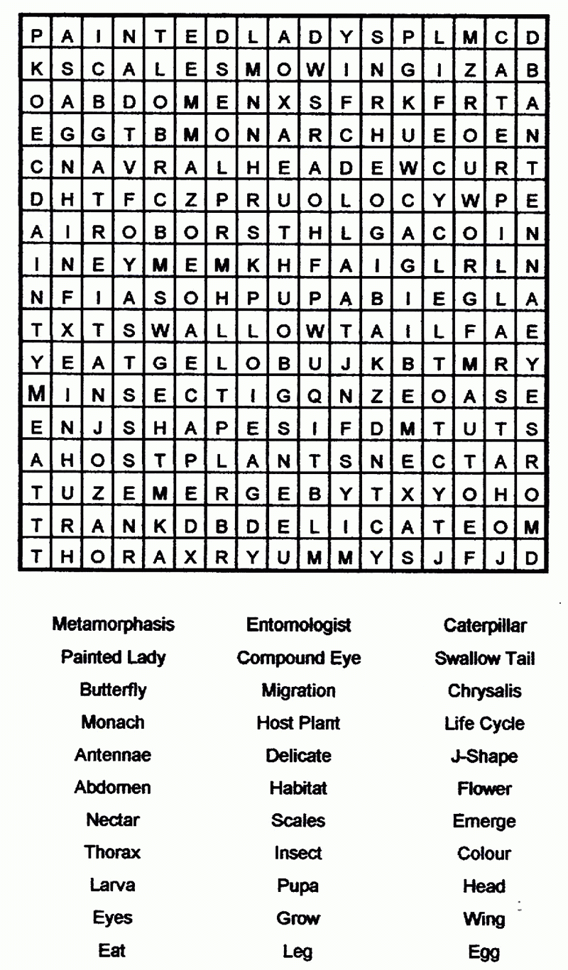 Free Printable Word Searches For Adults Large Print Pdf 