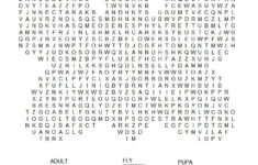 Hard Printable Word Searches For Adults In 2020 mit