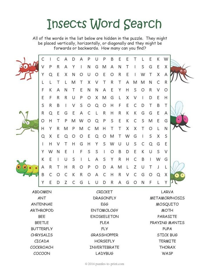 Insect Word Search Puzzle Kids Word Search Word Puzzles 