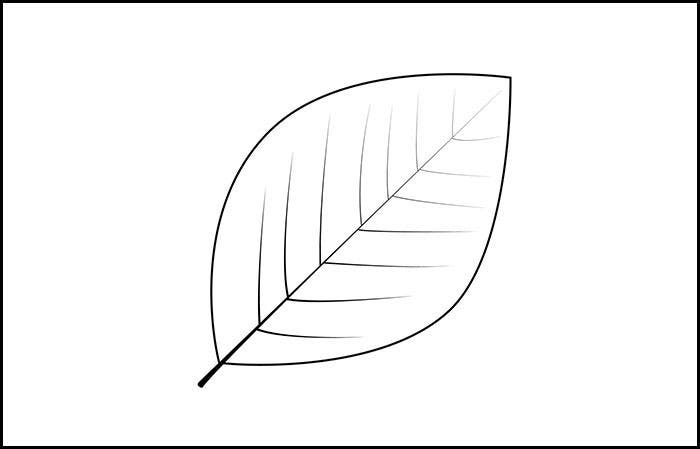 Leaf Template Printable Leaf Templates Free Premium 