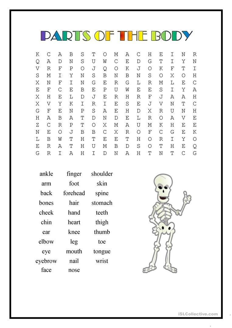 Human Body Word Search Printable