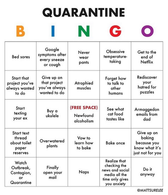 Skip s House Of Chaos Quarantine Bingo