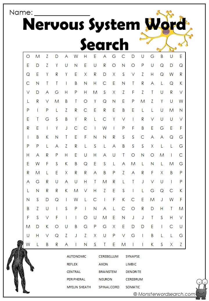 Nervous System Word Search Monster Word Search