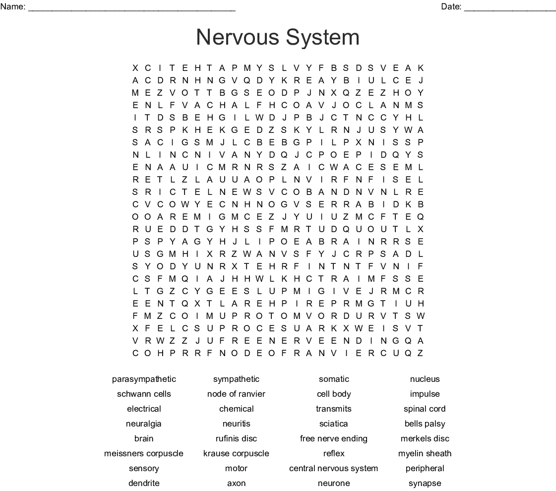 Nervous System Word Search Printable FreePrintableTM