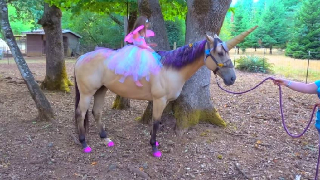 Mum Transforms Pony Into Unicorn As Treat For Daughter s 