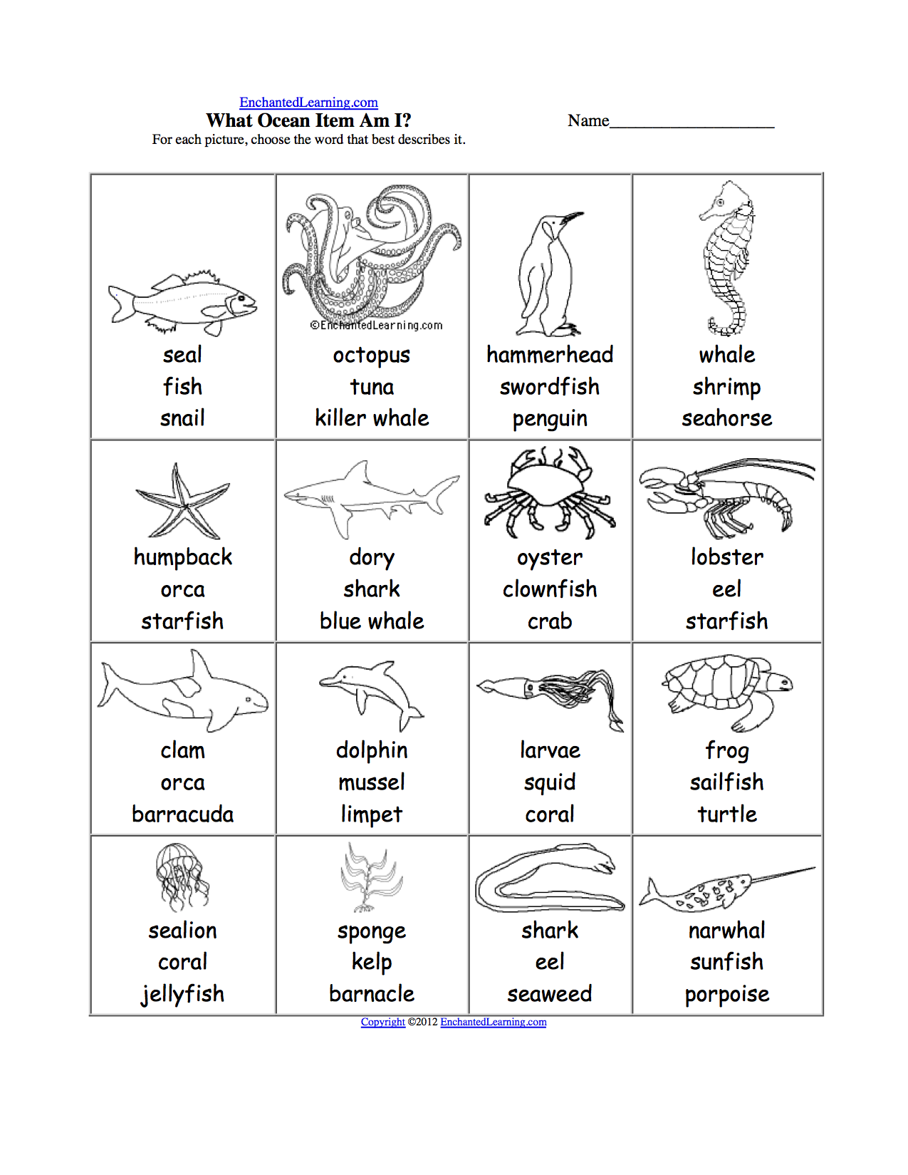 Oceans And Seas Spelling And WRiting Worksheets 