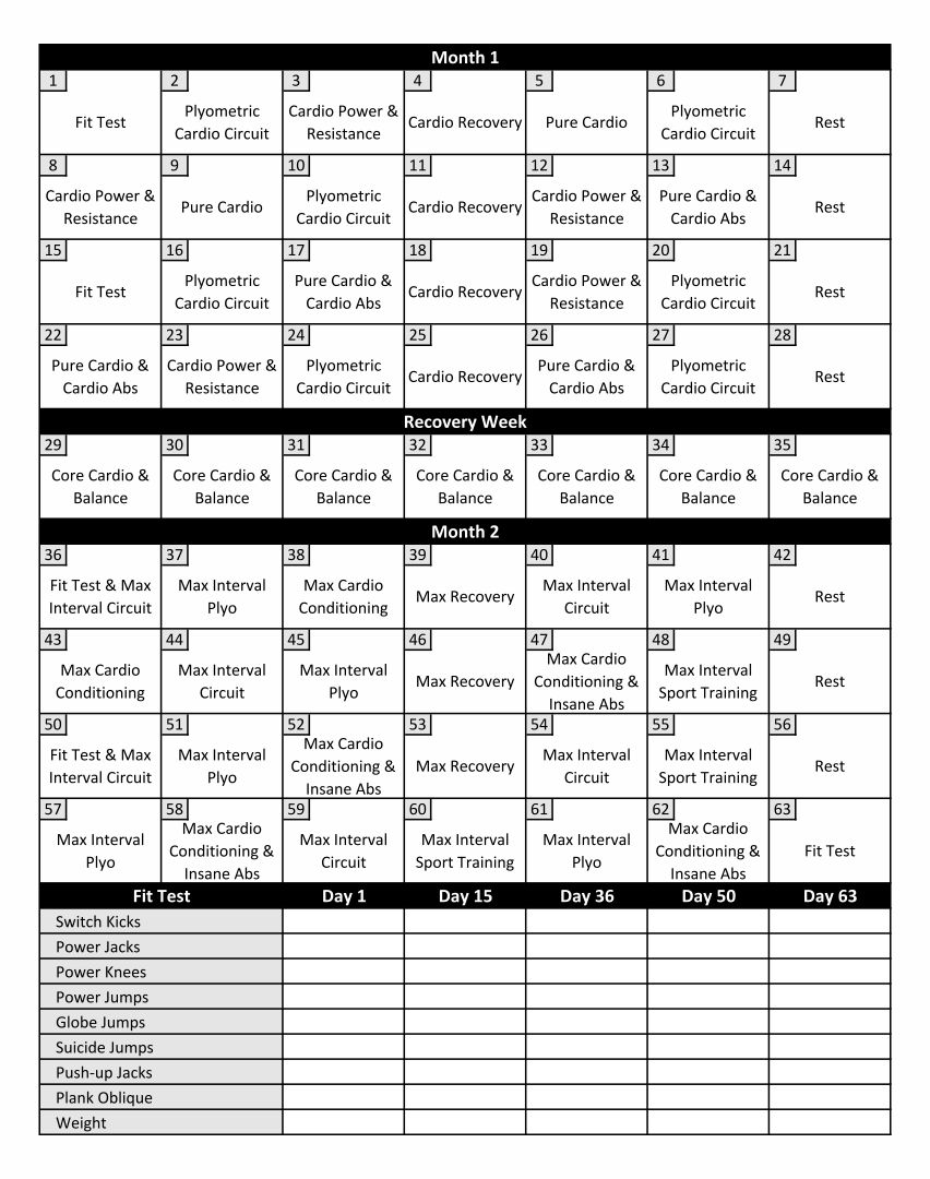 10 Best Printable Insanity Workout Schedule Printablee