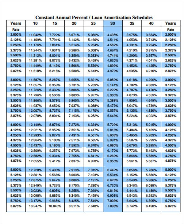 29 Amortization Schedule Templates Free Premium Templates