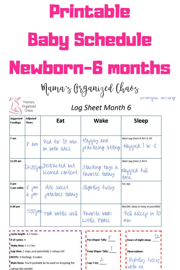 6 Months Of Printable Baby Schedules Newborn To 6 Months 