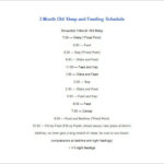 Baby Schedule Templates 8 Free Word Excel PDF Format