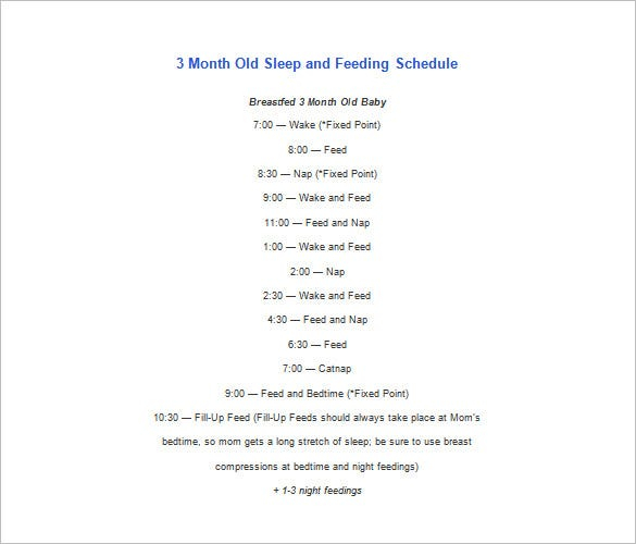 Baby Schedule Templates 8 Free Word Excel PDF Format 