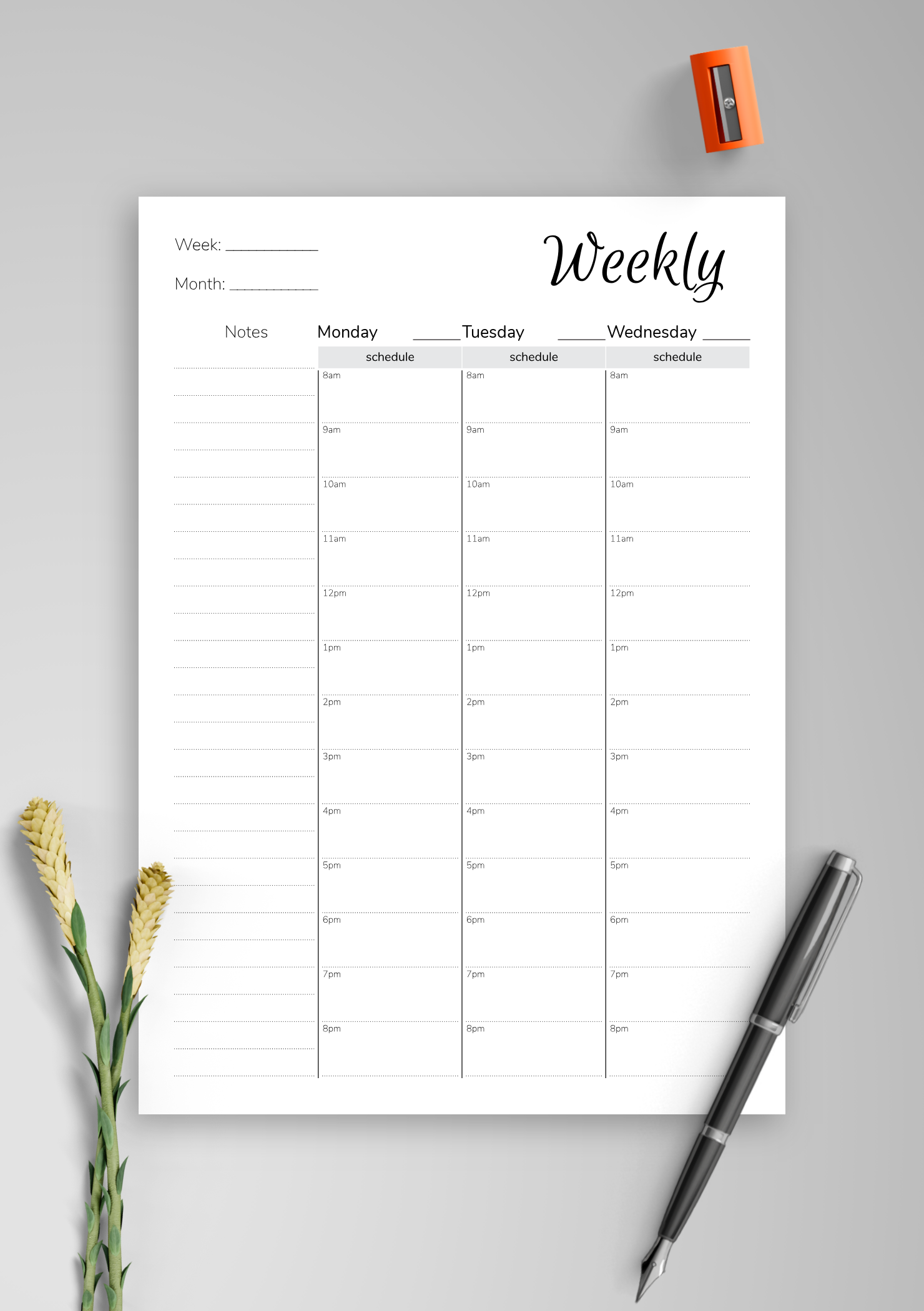 Download Printable Weekly Hourly Planner With Notes 