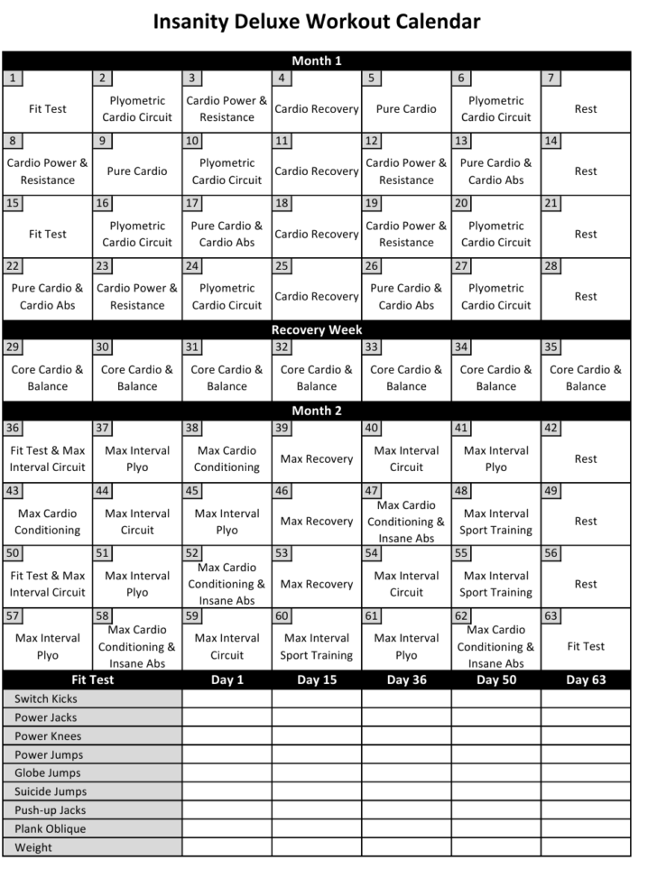 Insanity Workout Schedule Download Printable PDF