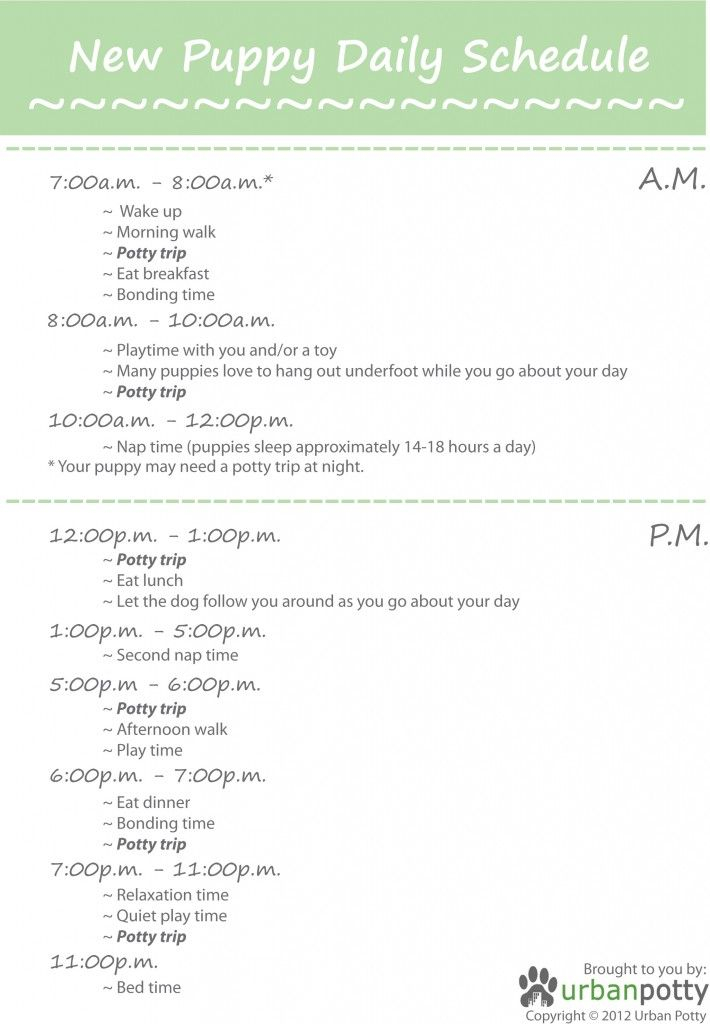 Printable New Puppy Daily Schedule Urban Potty Blog