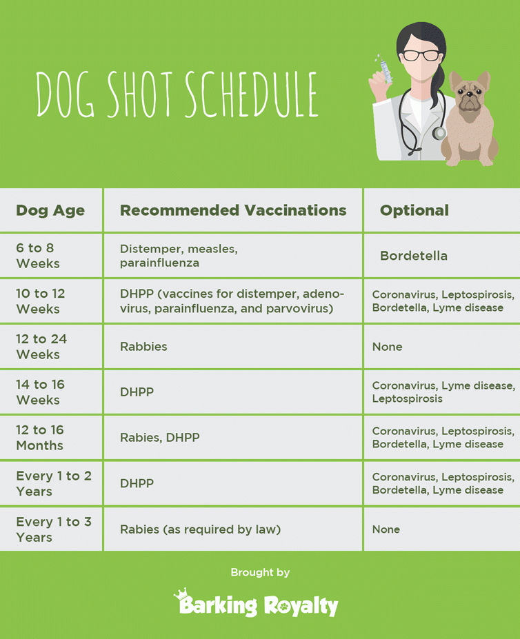 Puppy vaccination chart Barking Royalty