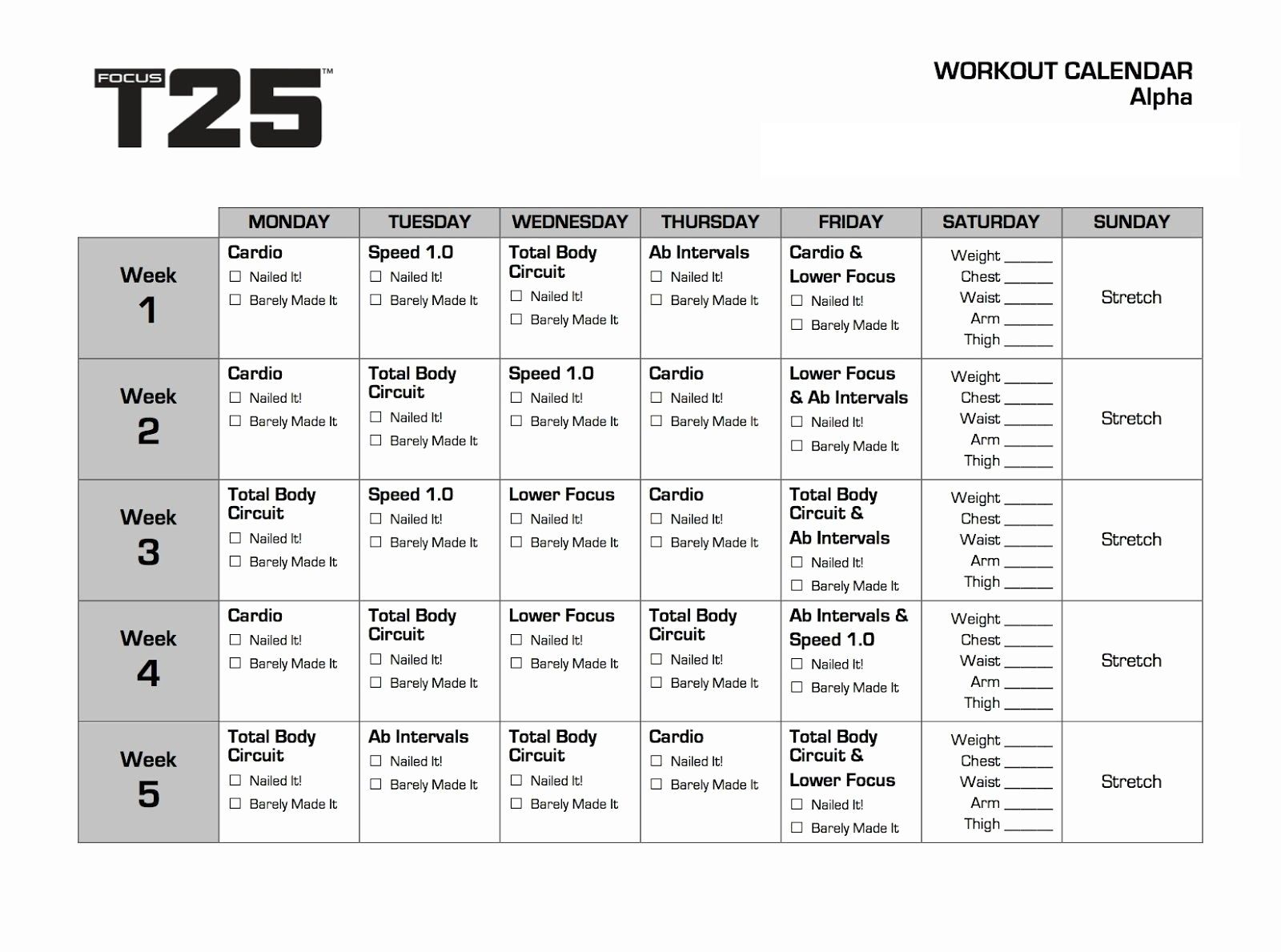 T25 Alpha Calendar T25 Workout Focus T25 Workout T25 