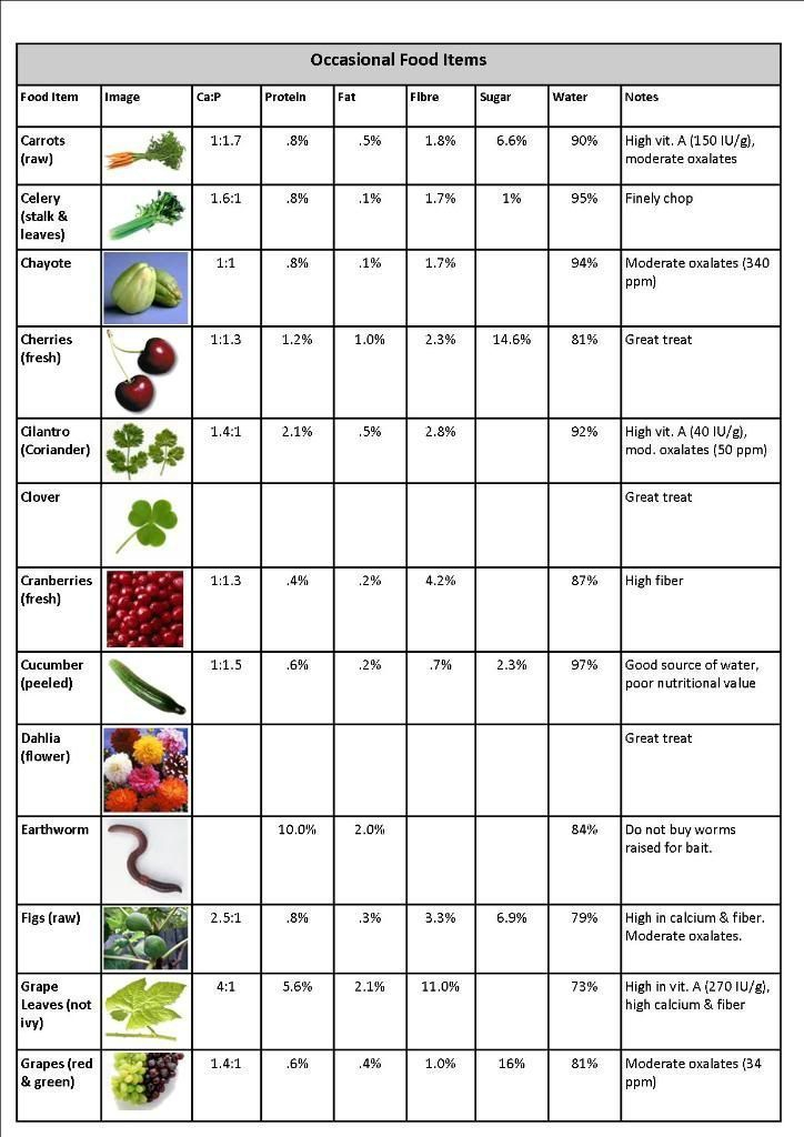 Bearded Dragon Food Chart Bearded Dragon Food Bearded 