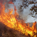 Climate Change Is Fueling California S Wildfires