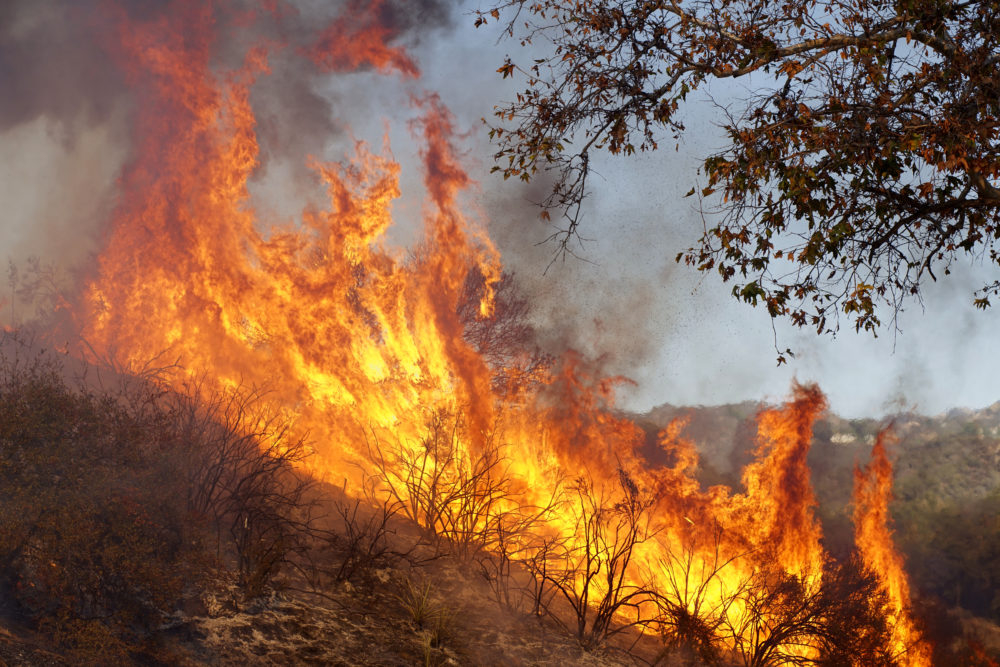Climate Change Is Fueling California s Wildfires 
