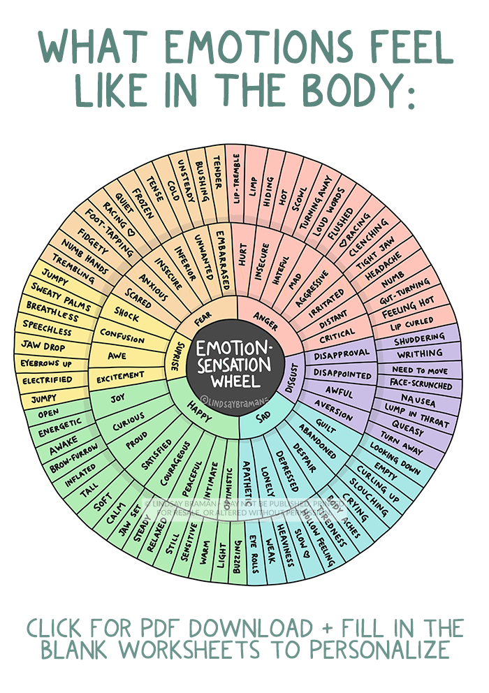 Emotion Sensation Feeling Wheel Printable Feeling Wheel 